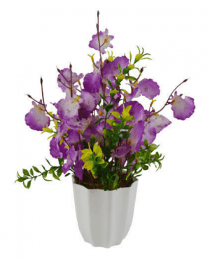 Dancing Orchid Flower Pot