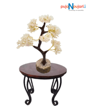 7 Chakra Crystal Tree of Life for Good Luck
