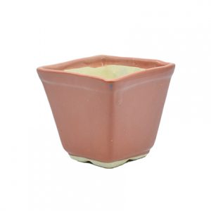 Ceramic Flower Pot for Indoor