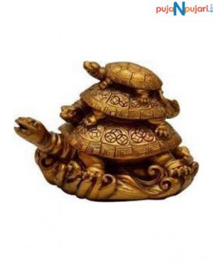 Feng Shui Tortoise