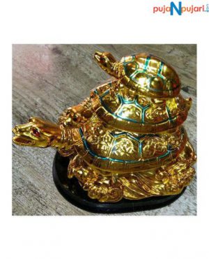 Gold Triple Turtle