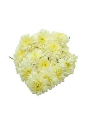 Natural White Chamanthi Flowers for Pooja