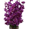 Orchid Flowers Pot