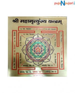 Shree Mahamrityunjaya Yantra