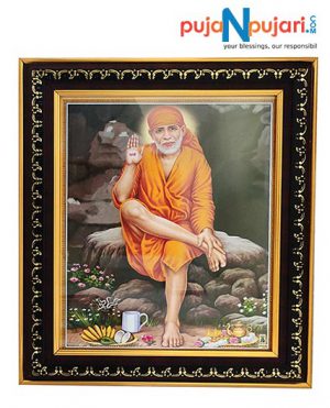 Shree Sai Baba Sitting on a Rock