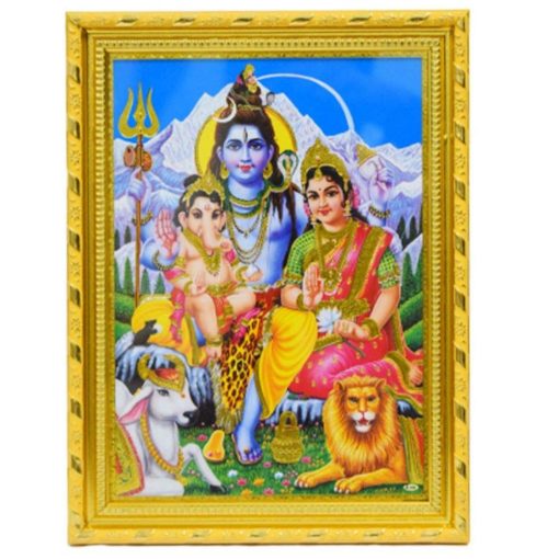 Synthetic-Photo-Frames-8-x-11-inch-Multicolour.jpg