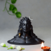 Adiyogi