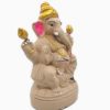 Ecofriendly Ganesha