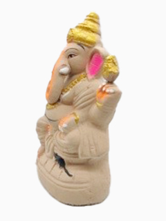 Ecofriendly Ganesha