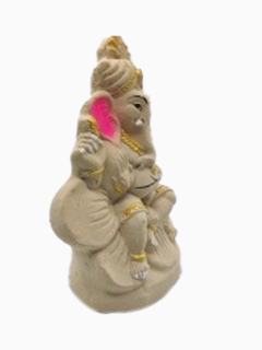 Ecofriendly Ganesha