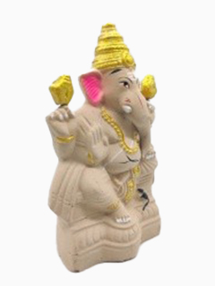 Ecofriendly Ganesha