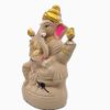 Ecofriendly Ganesha