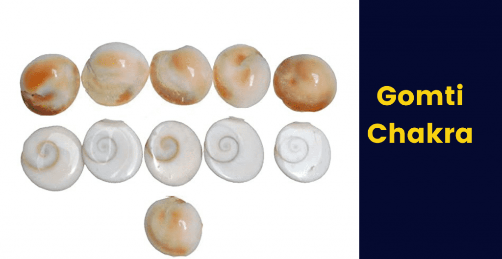 Gomti Chakra