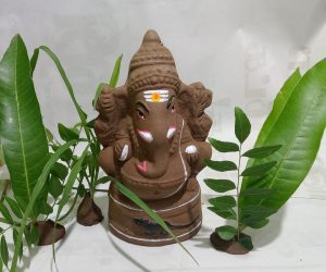 Seed Ganesha Idol