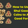 Feng Shui Three Lucky Bronze Metal Coins - Puja N Pujari