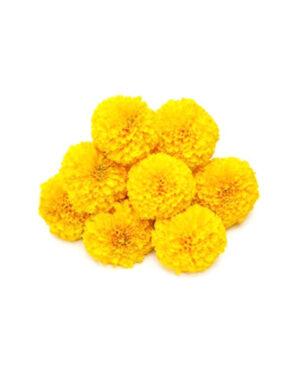 Loose Marigold yellow Flower