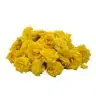 yellow button rose