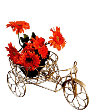 bicycle plant stand indoor, bicycle pot plant holder, metal bicycle plant holder, bicycle pot plant holder, tricycle plant stand, garden tricycle planter holder, tricycle flower pot holder