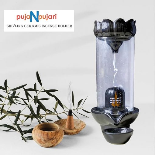 Shivling Design Backflow Smoke Fountain Incense Holder with 10 Backflow Cones - Image 2